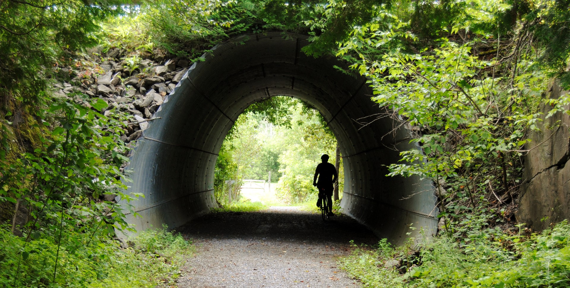 cyclist tunnel nature free photo