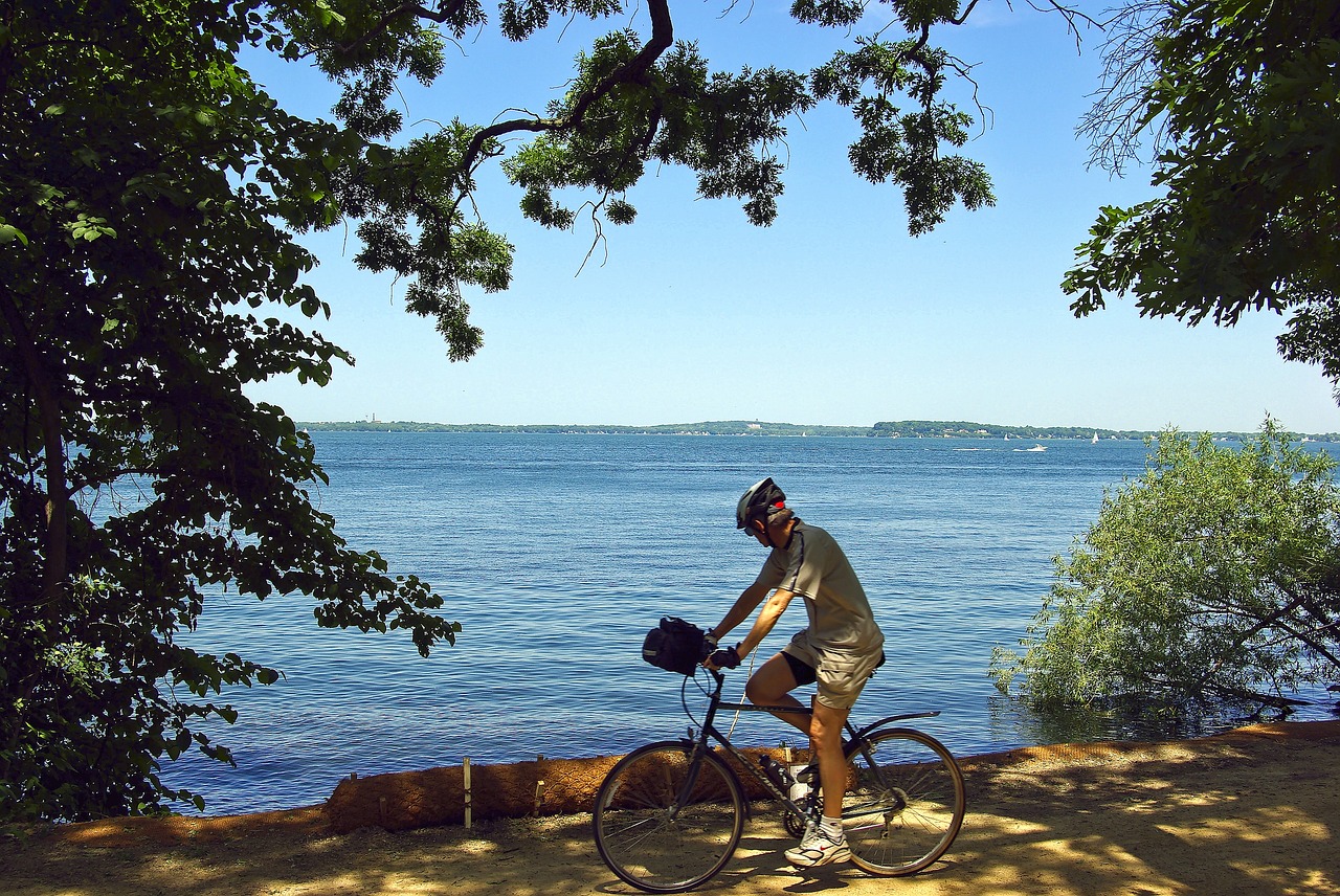cyclist on lakeshore path  bicycle  trail free photo