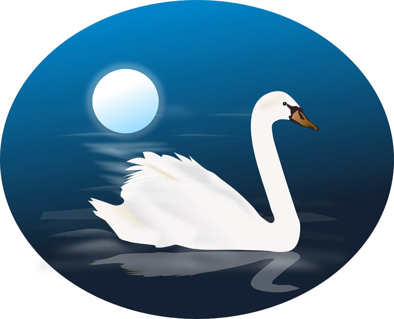 cygnus swan animal free photo