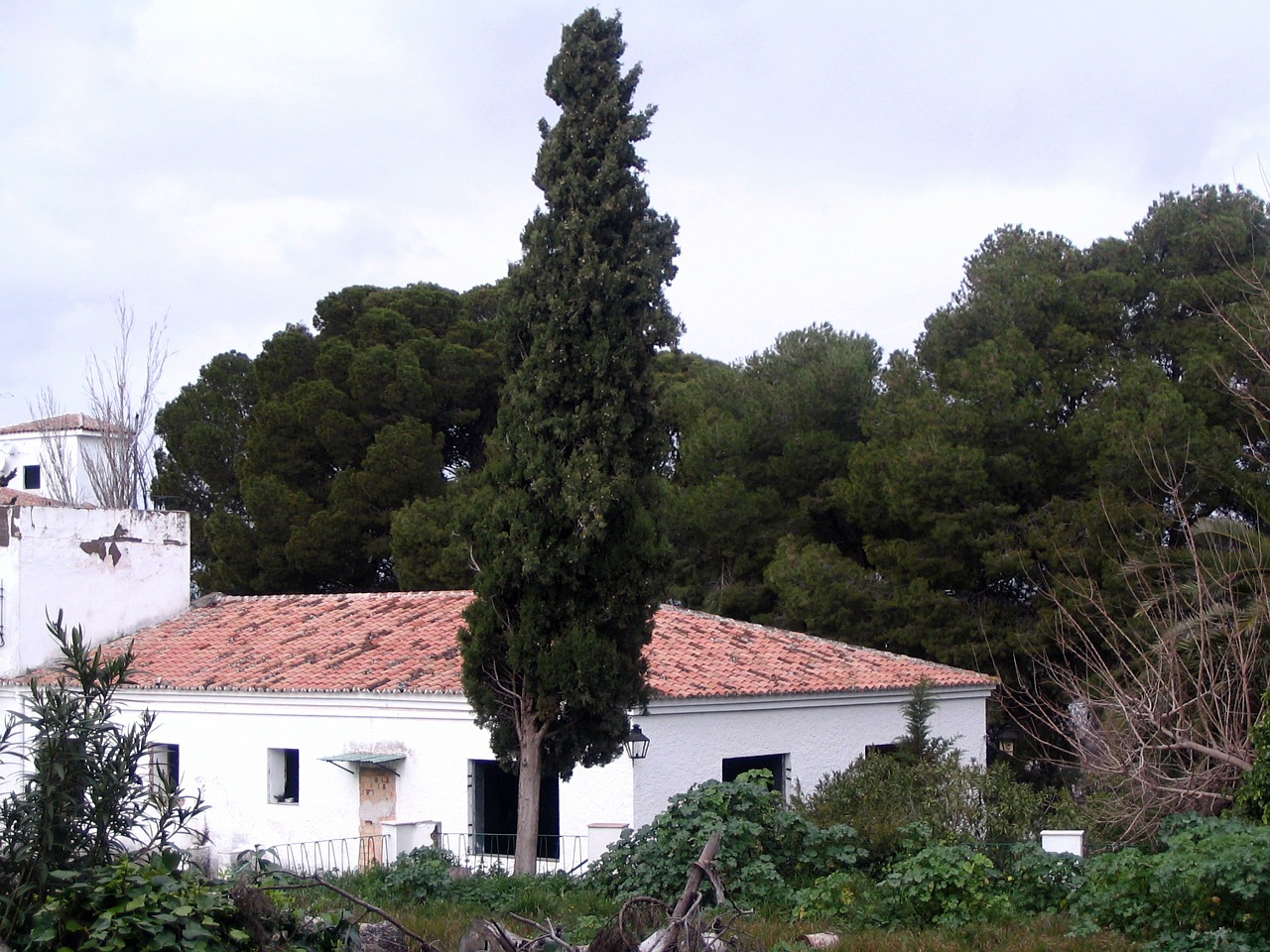 cypress landscape house free photo