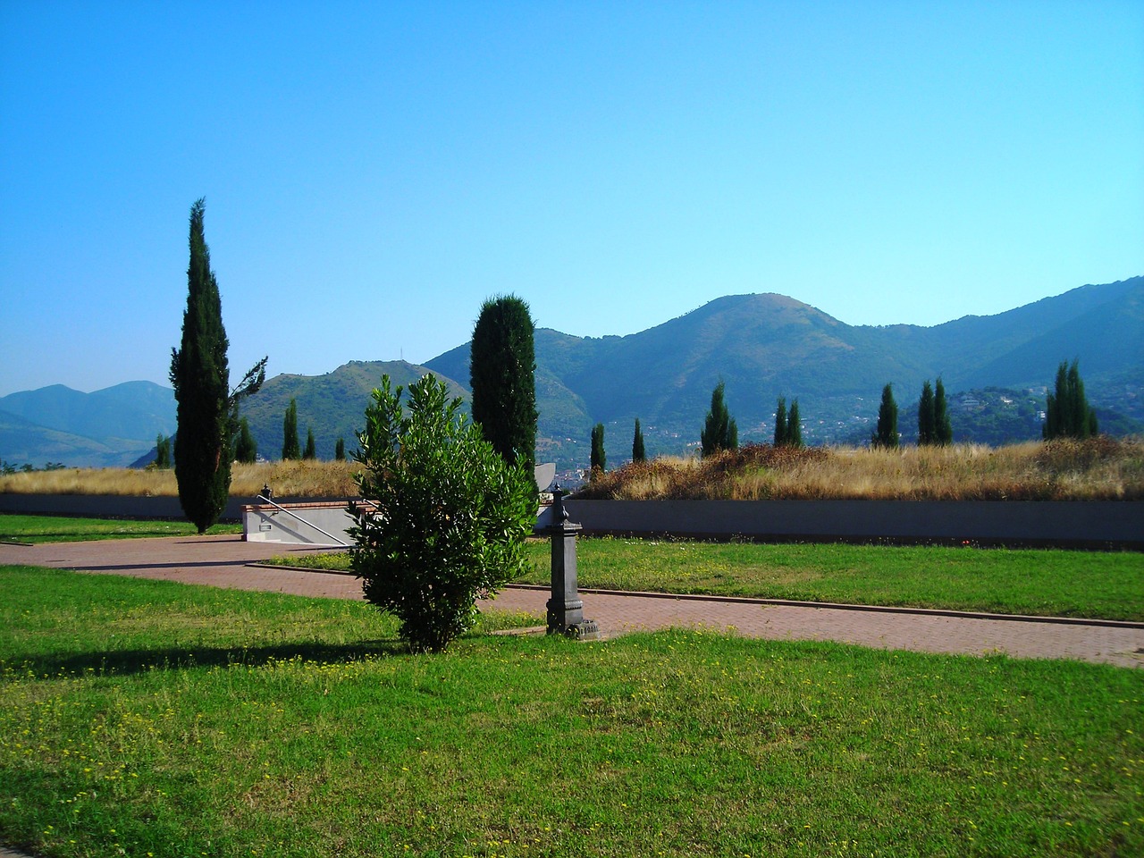 cypress trees cemetery cypress free photo