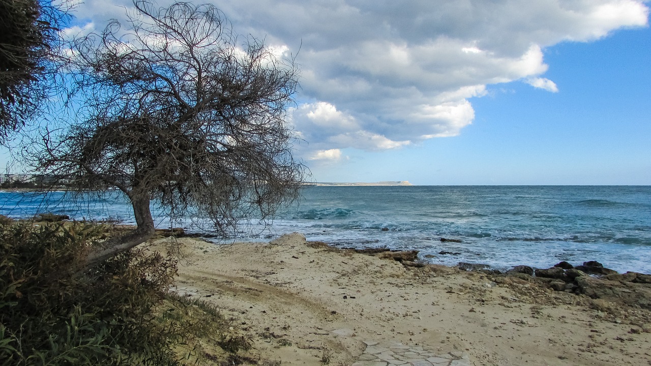 cyprus makronissos beach tree free photo