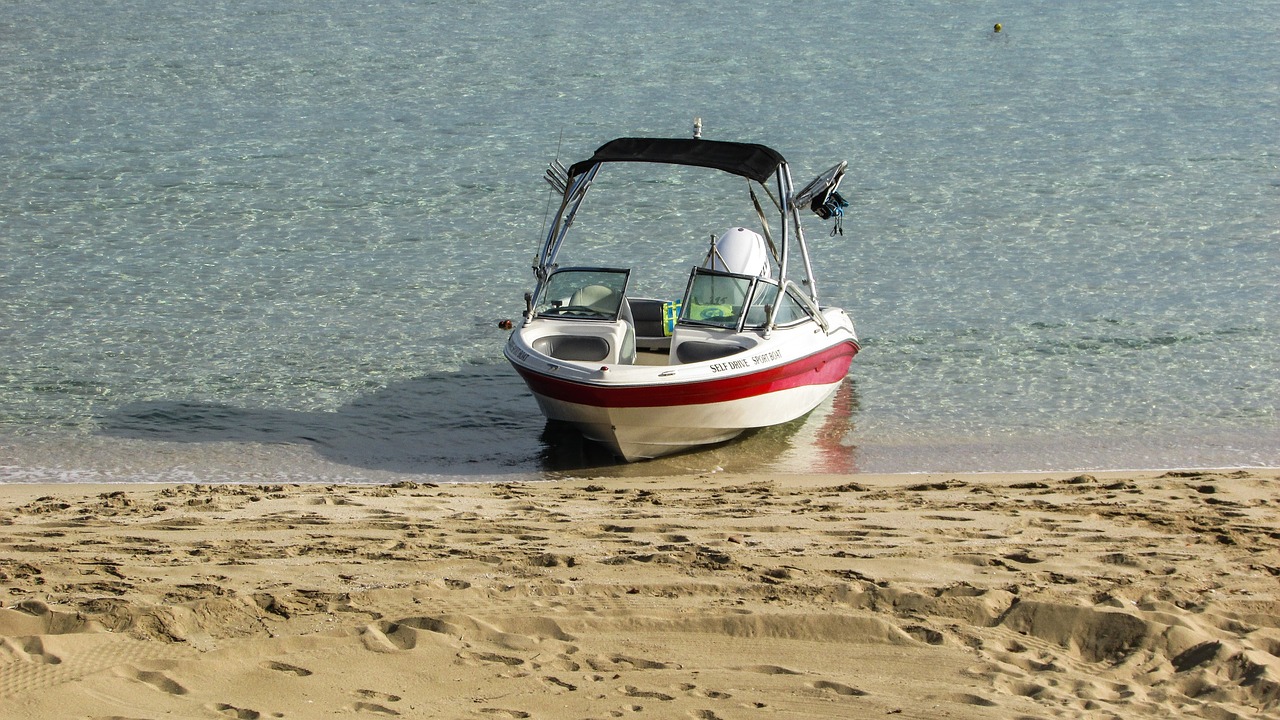 cyprus protaras fig tree bay free photo