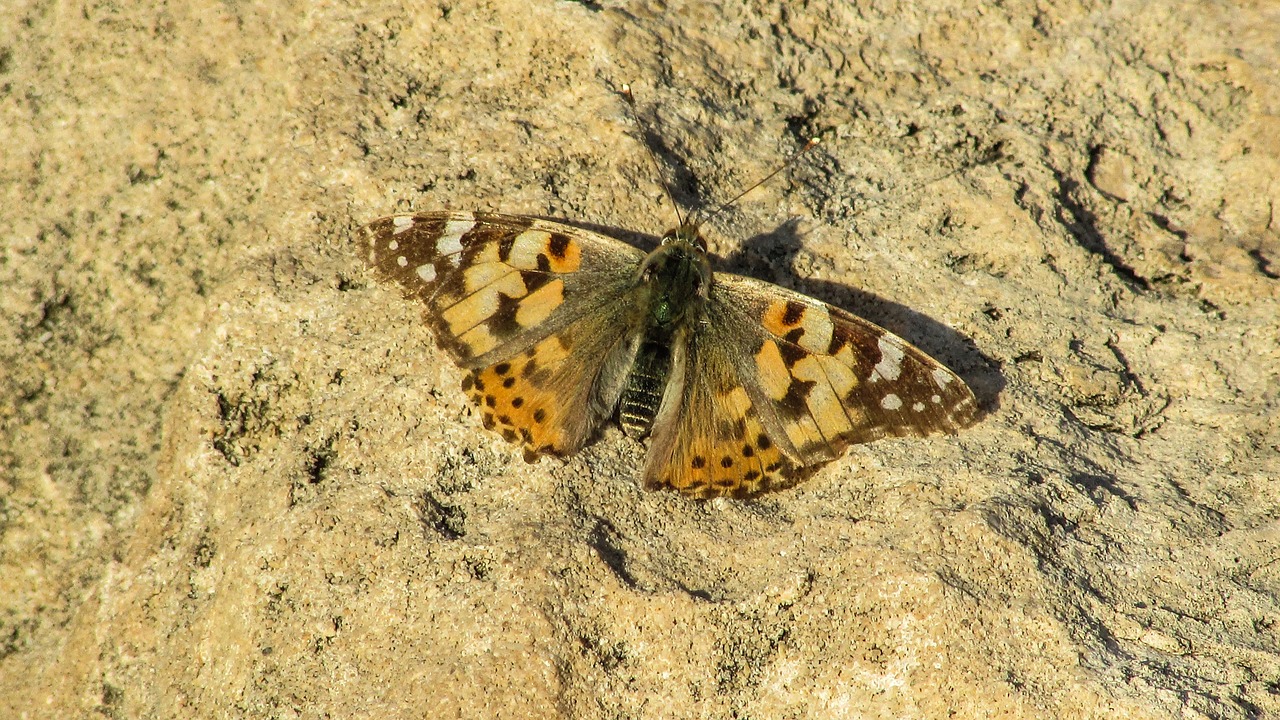 cyprus cavo greko national park free photo