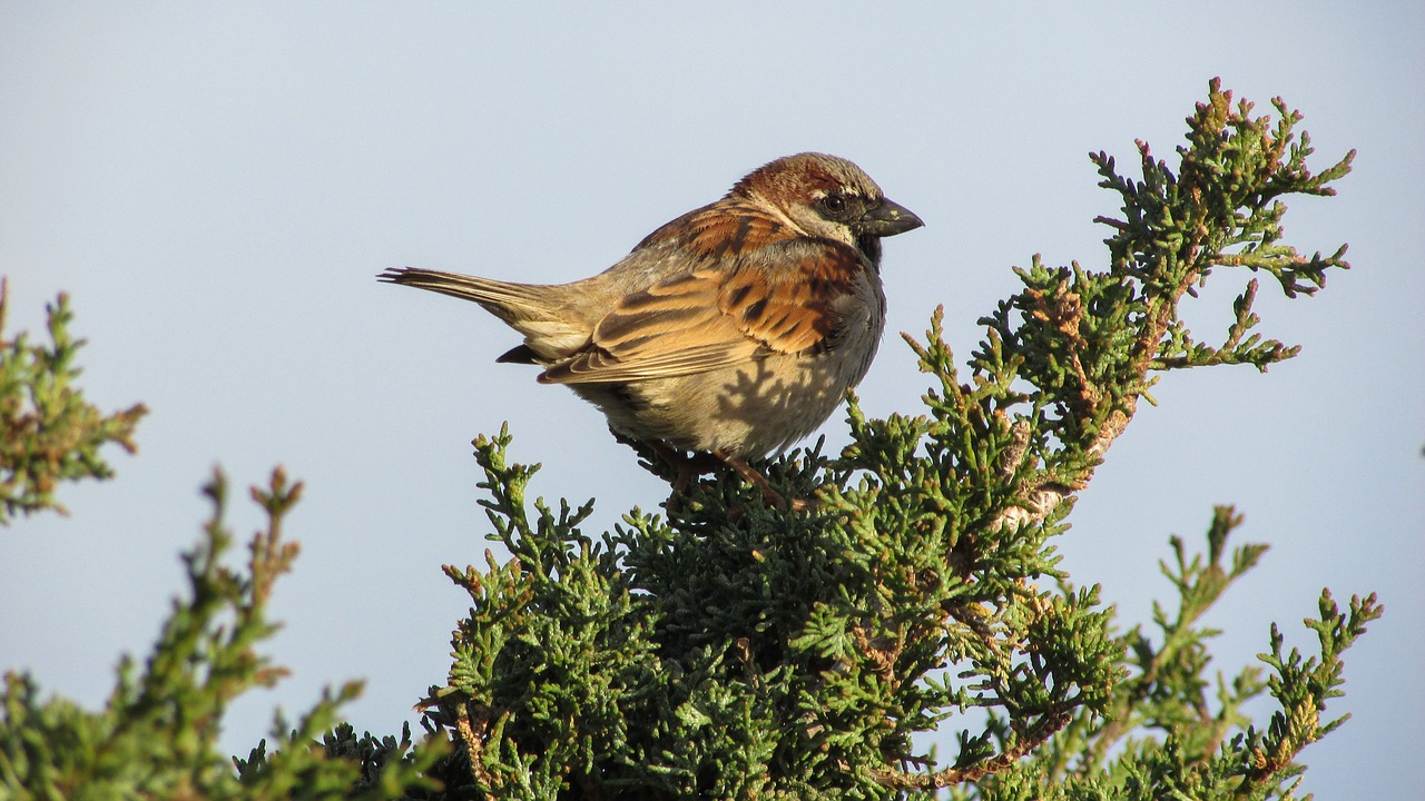 cyprus cavo greko national park free photo