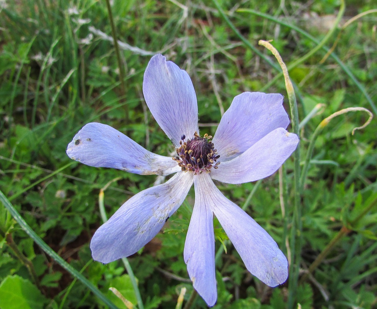 cyprus cavo greko national park free photo