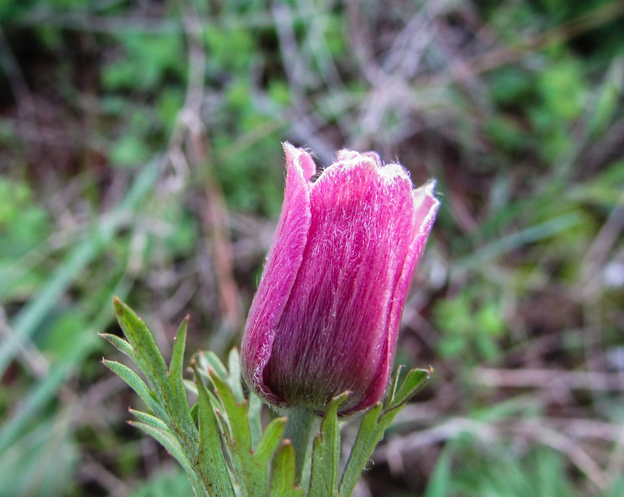 cyprus cavo greko national park free photo