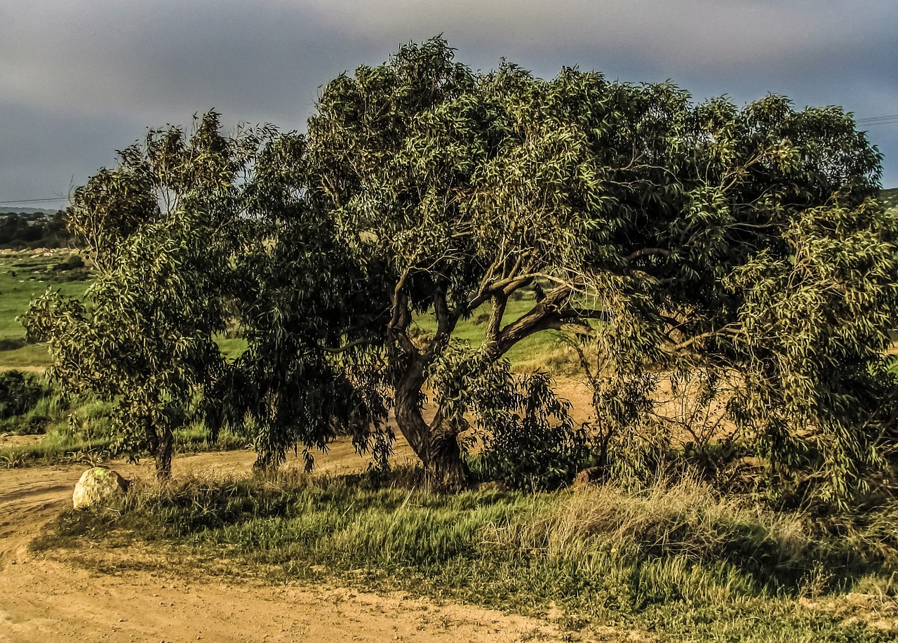 cyprus cavo greko national park free photo