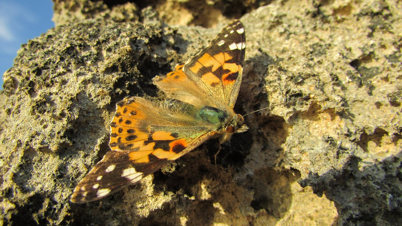 cyprus cavo greko national park free photo