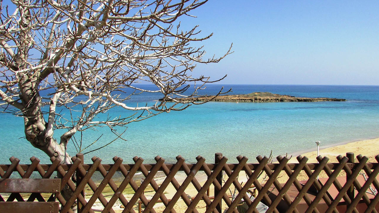 cyprus protaras fig tree bay free photo