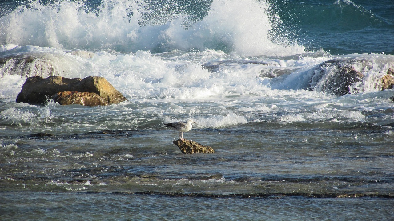 cyprus ayia napa kermia beach free photo