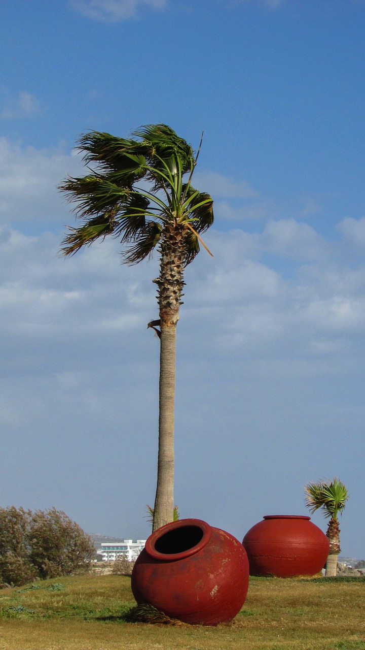 cyprus ayia napa nissi beach free photo