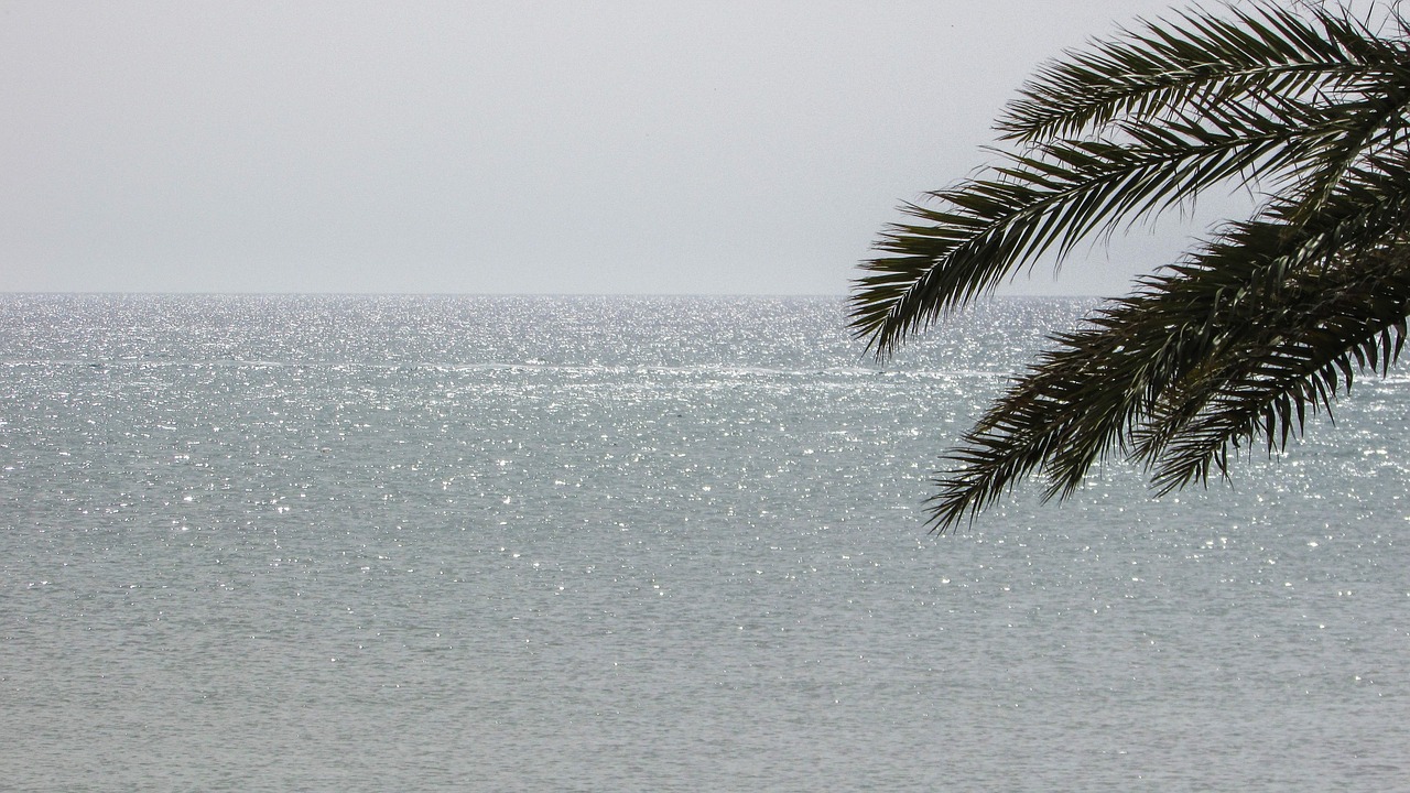 cyprus dhekelia morning free photo