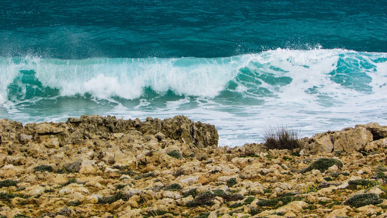cyprus ayia napa rocky coast free photo