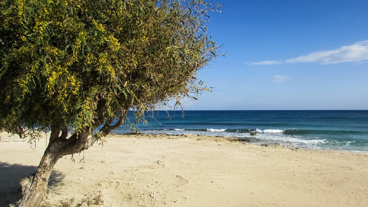 cyprus ayia napa makronissos beach free photo