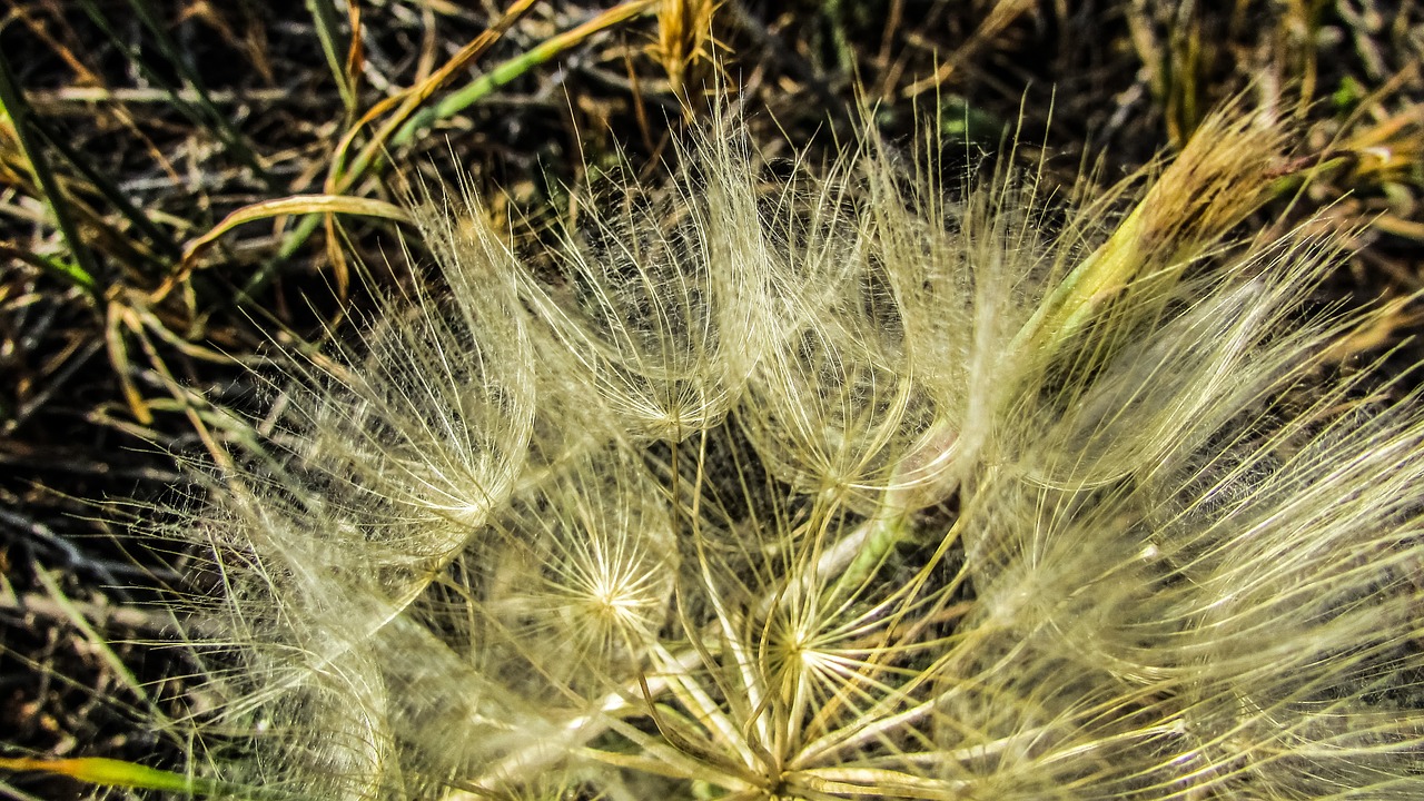 cyprus cavo greko national park free photo