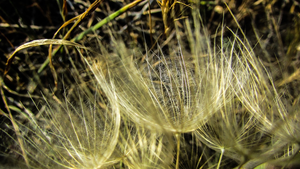 cyprus cavo greko national park free photo