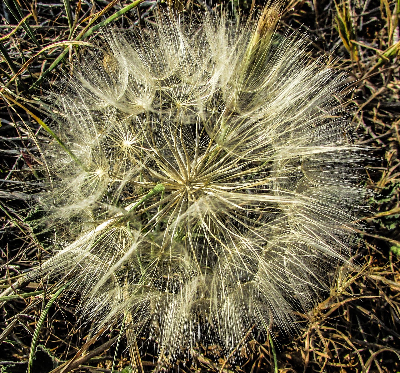 cyprus cavo greko national park free photo