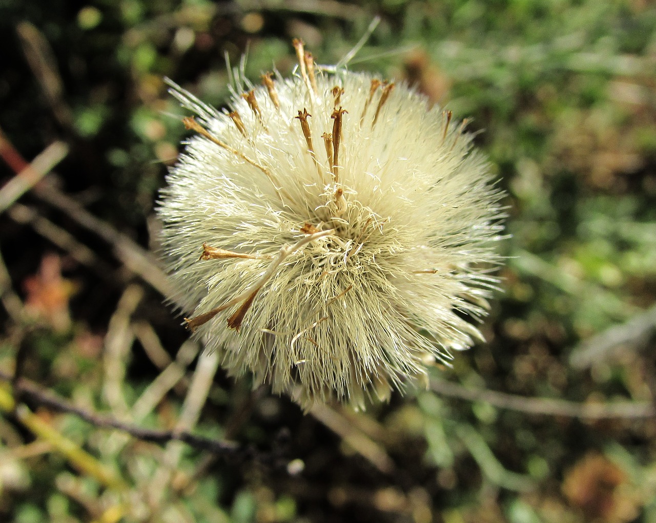 cyprus cavo greko national park free photo