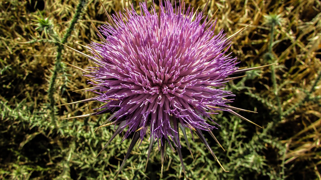 cyprus cavo greko national park free photo