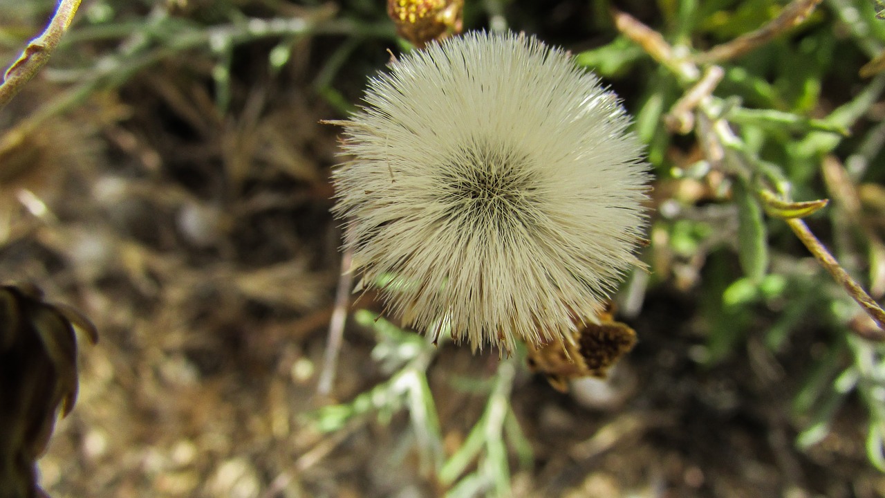 cyprus cavo greko national park free photo