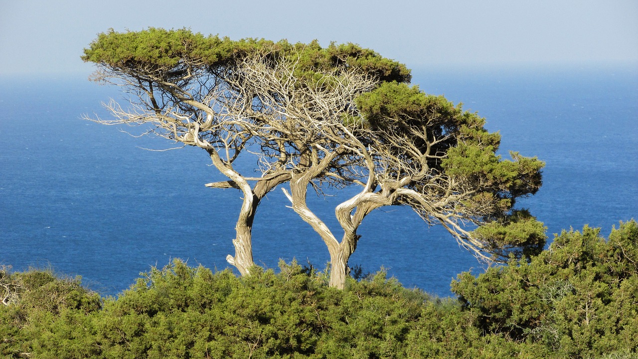 cyprus cavo greko national park free photo