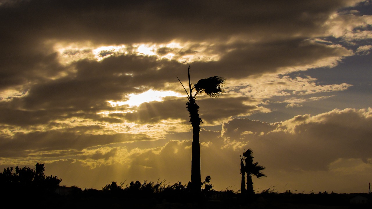 cyprus kapparis afternoon free photo