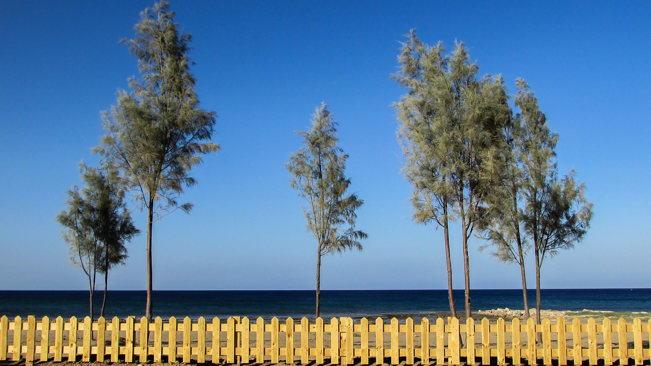 cyprus ayia triada beach free photo