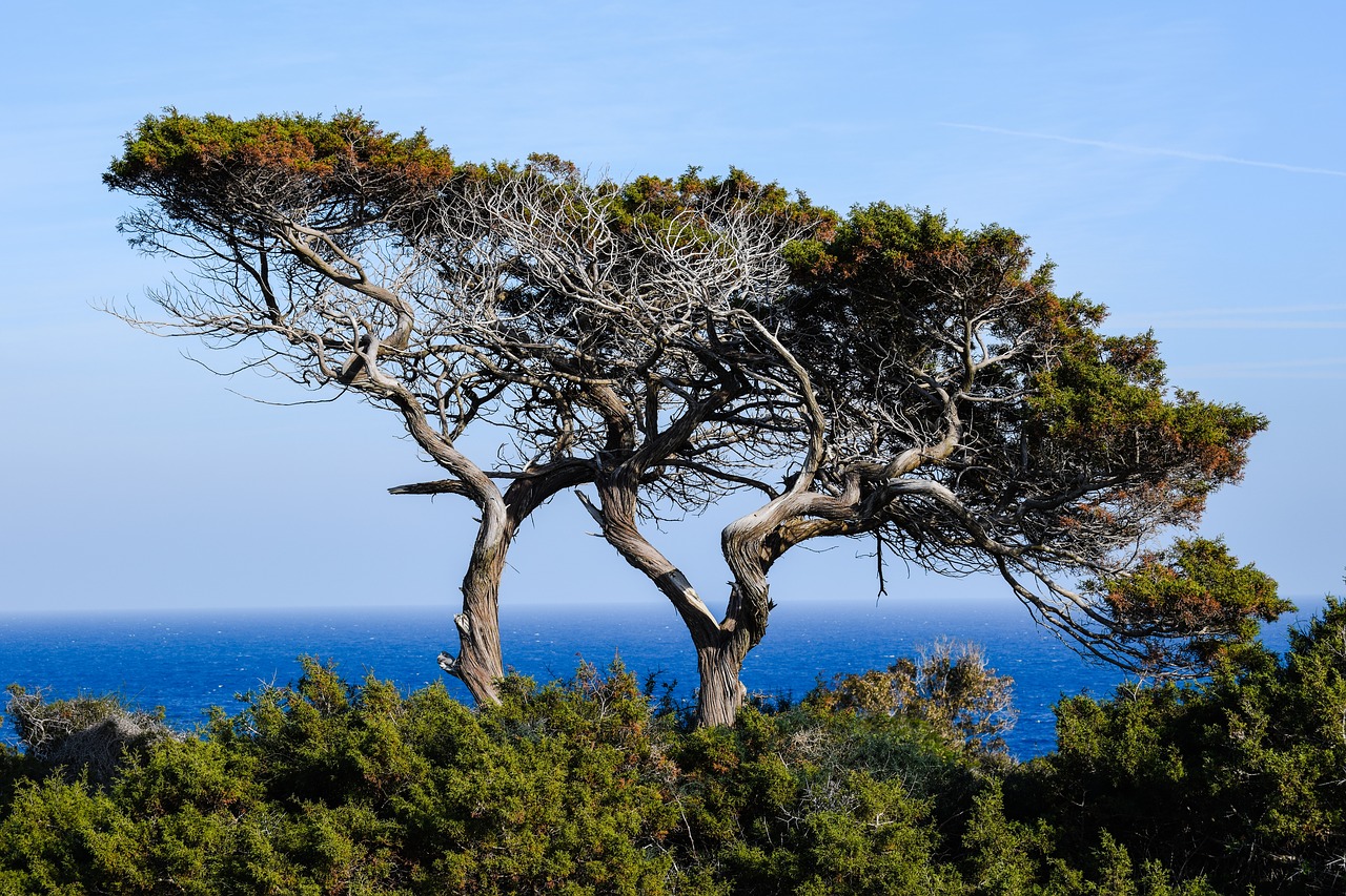 cyprus cavo greko national park free photo