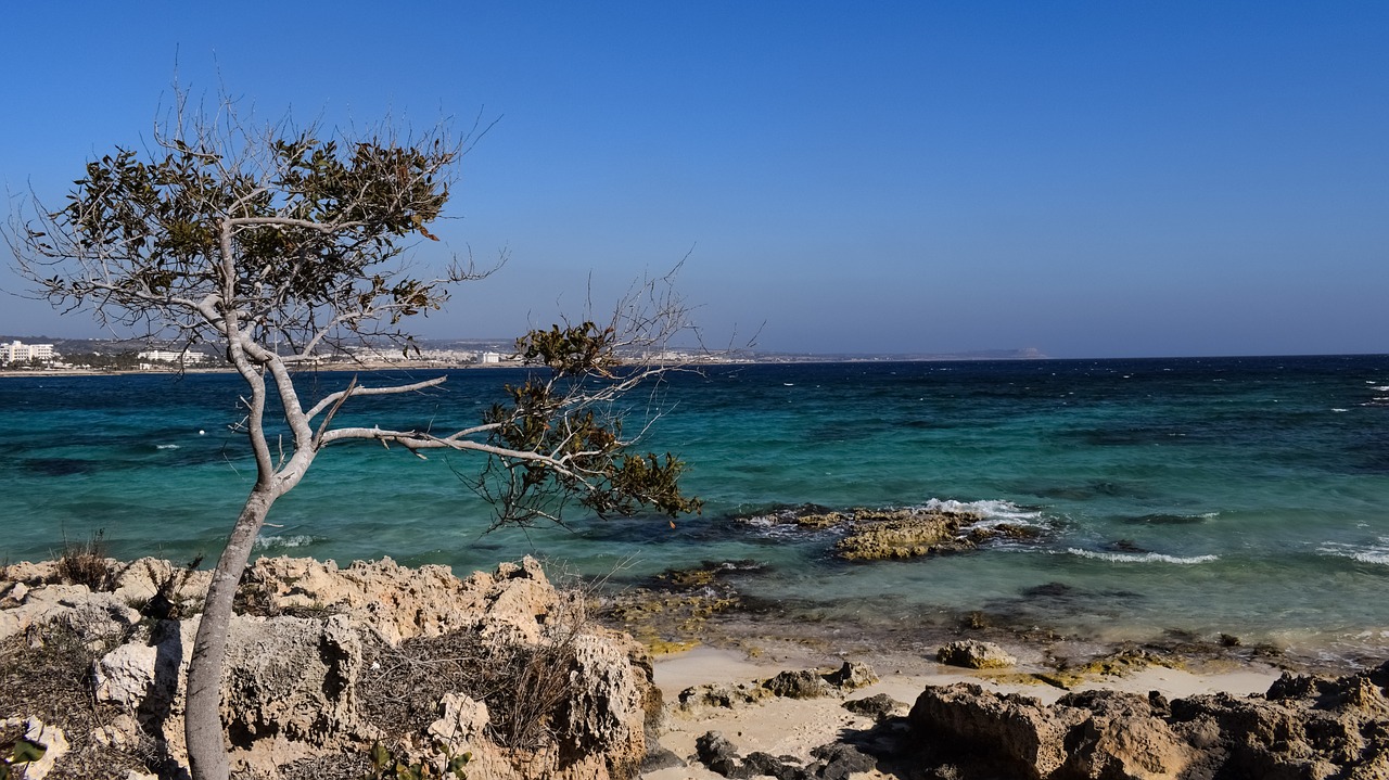 cyprus ayia napa makronissos beach free photo