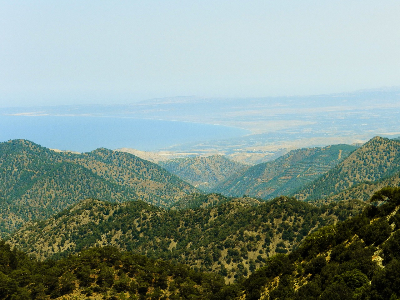 cyprus mountains pine free photo