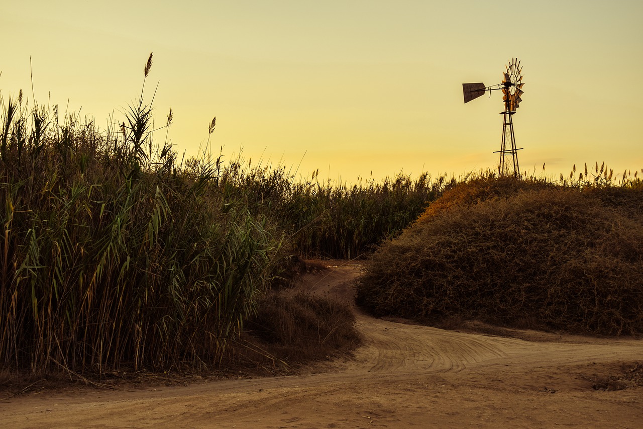 cyprus kapparis dirt road free photo