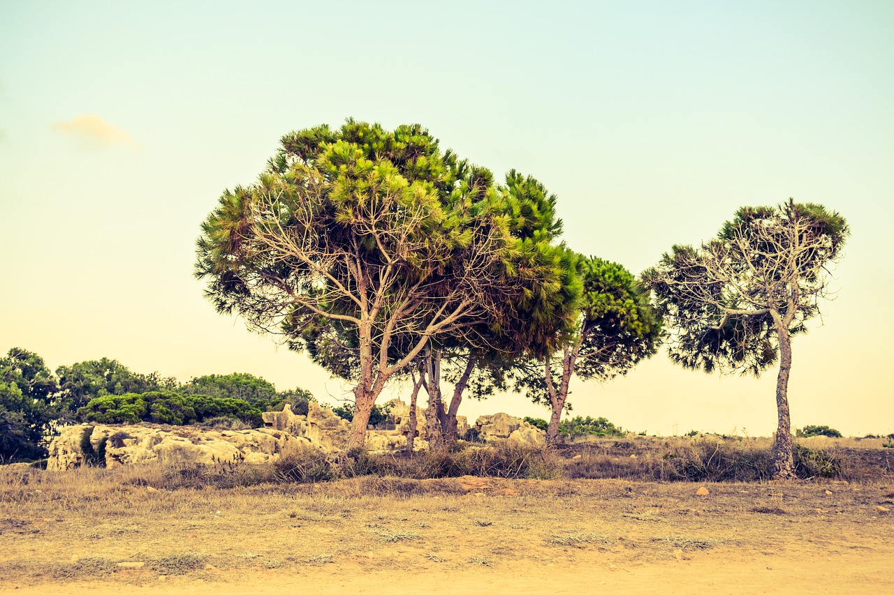 cyprus paphos tombs of the kings free photo