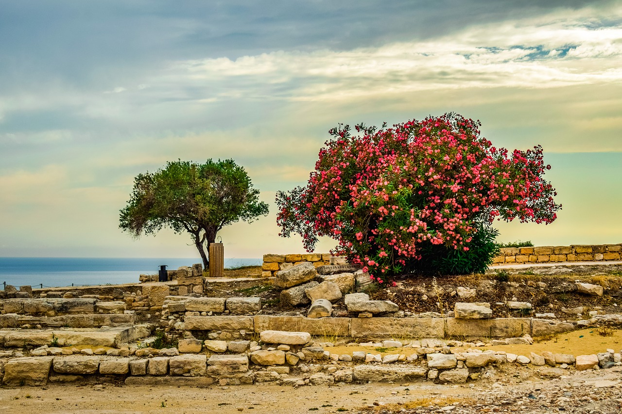 cyprus  kourion  landscape free photo