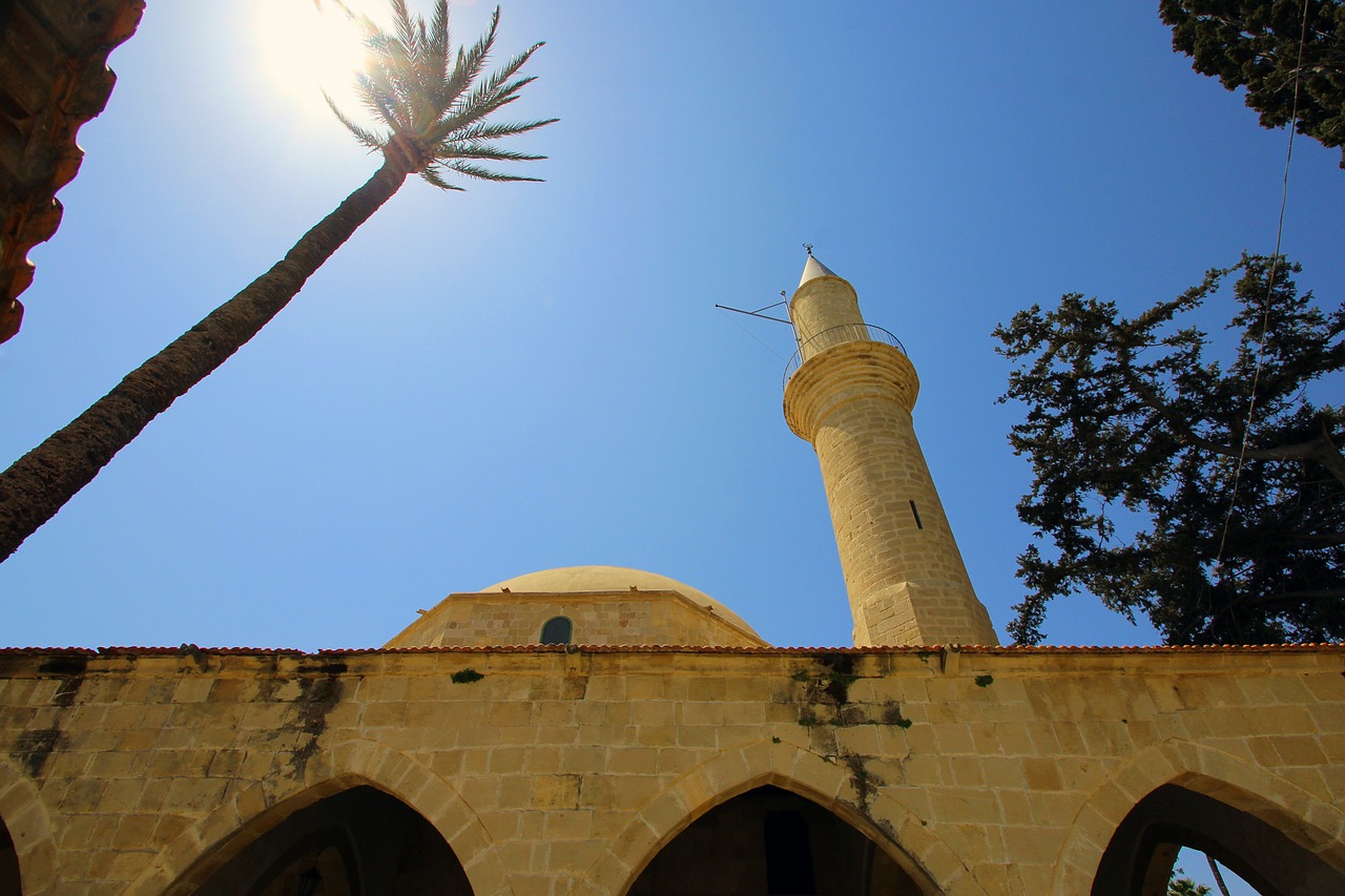 cyprus palm mosque free photo
