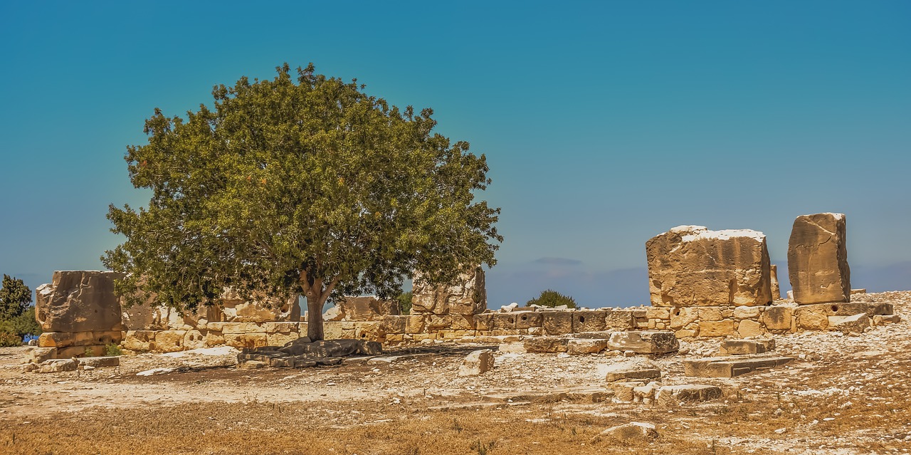 cyprus  aphrodite's sanctuary  palepaphos free photo