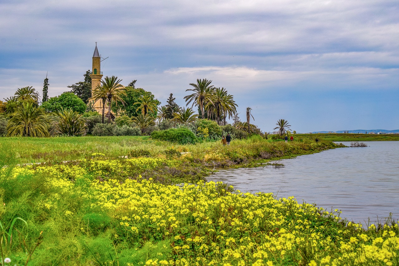 cyprus  larnaca  lake free photo