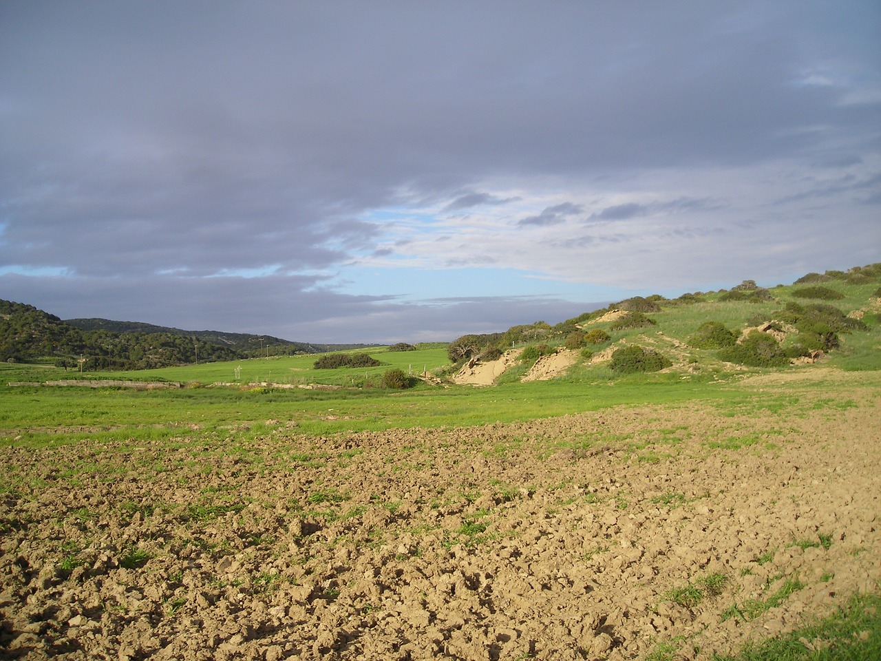 cyprus landscape meadow free photo