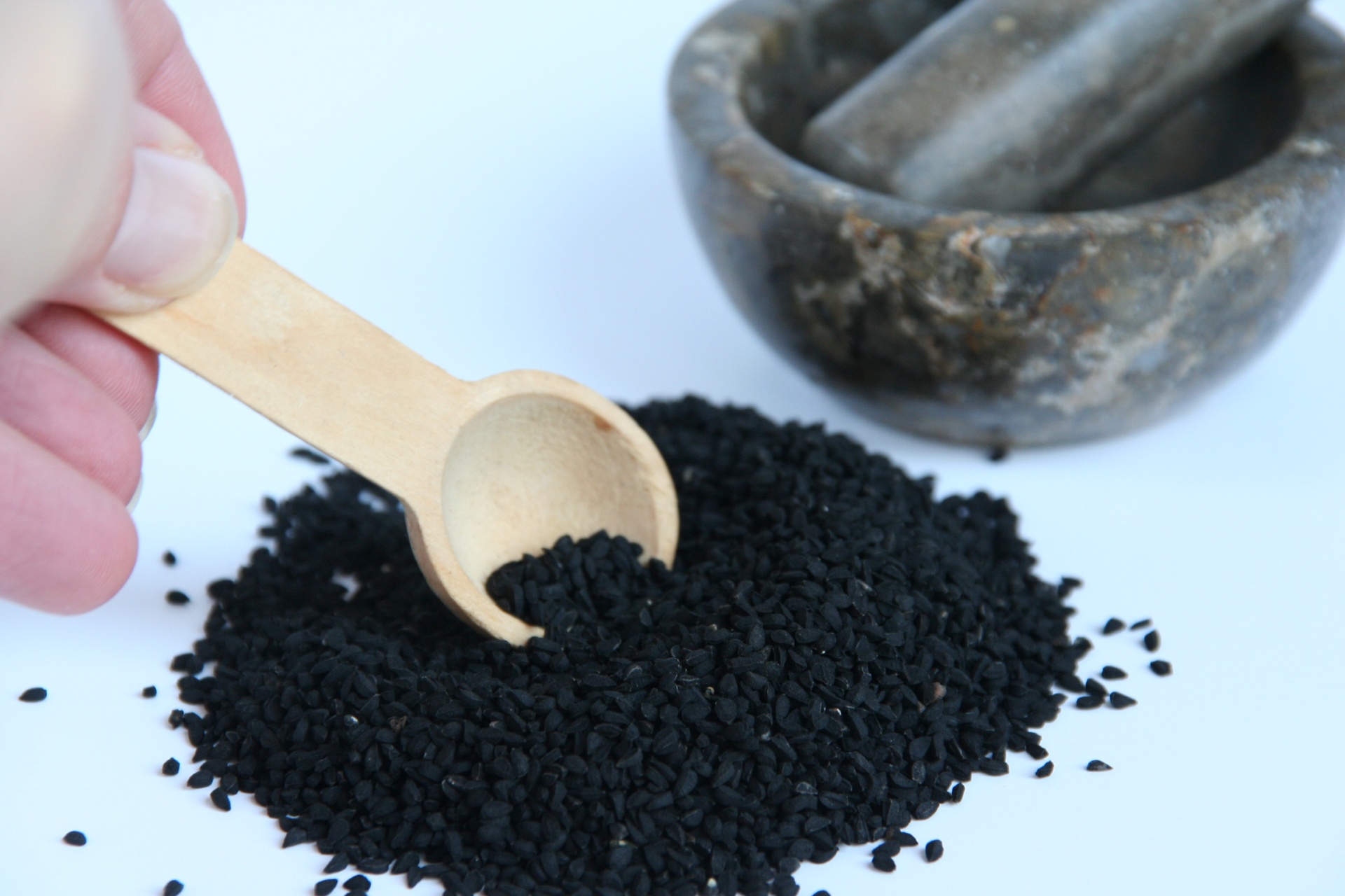 black cumin black seeds free photo