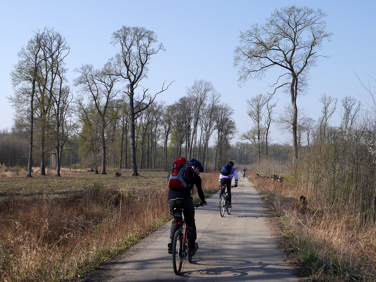 czech cyklo trees free photo