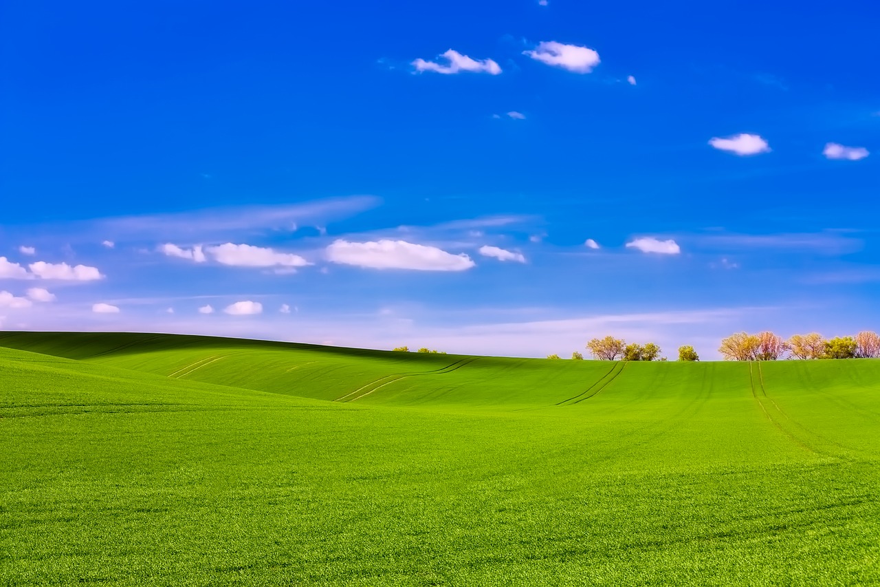 czech republic landscape field free photo