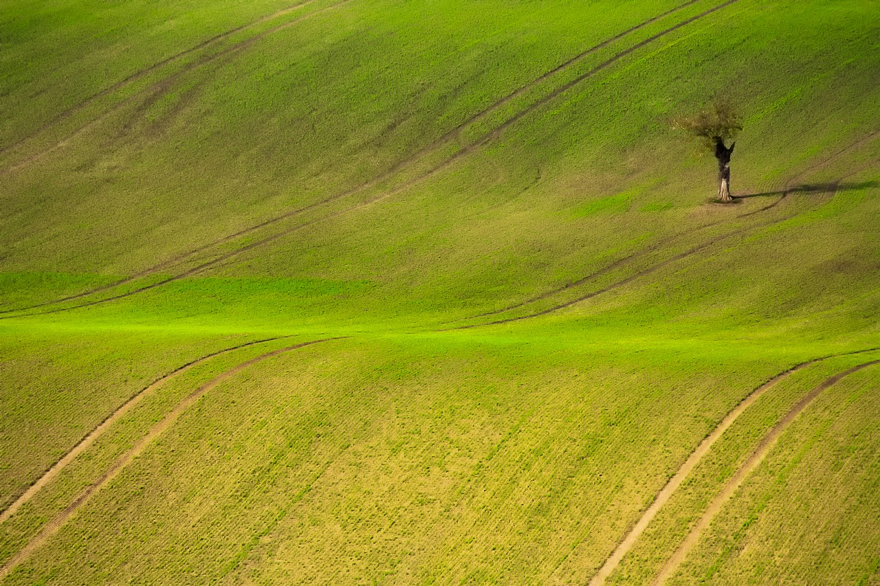 czech republic landscape field free photo