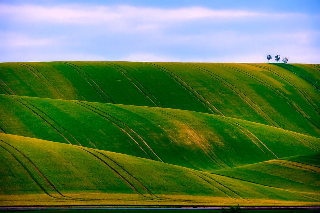 czech republic landscape field free photo