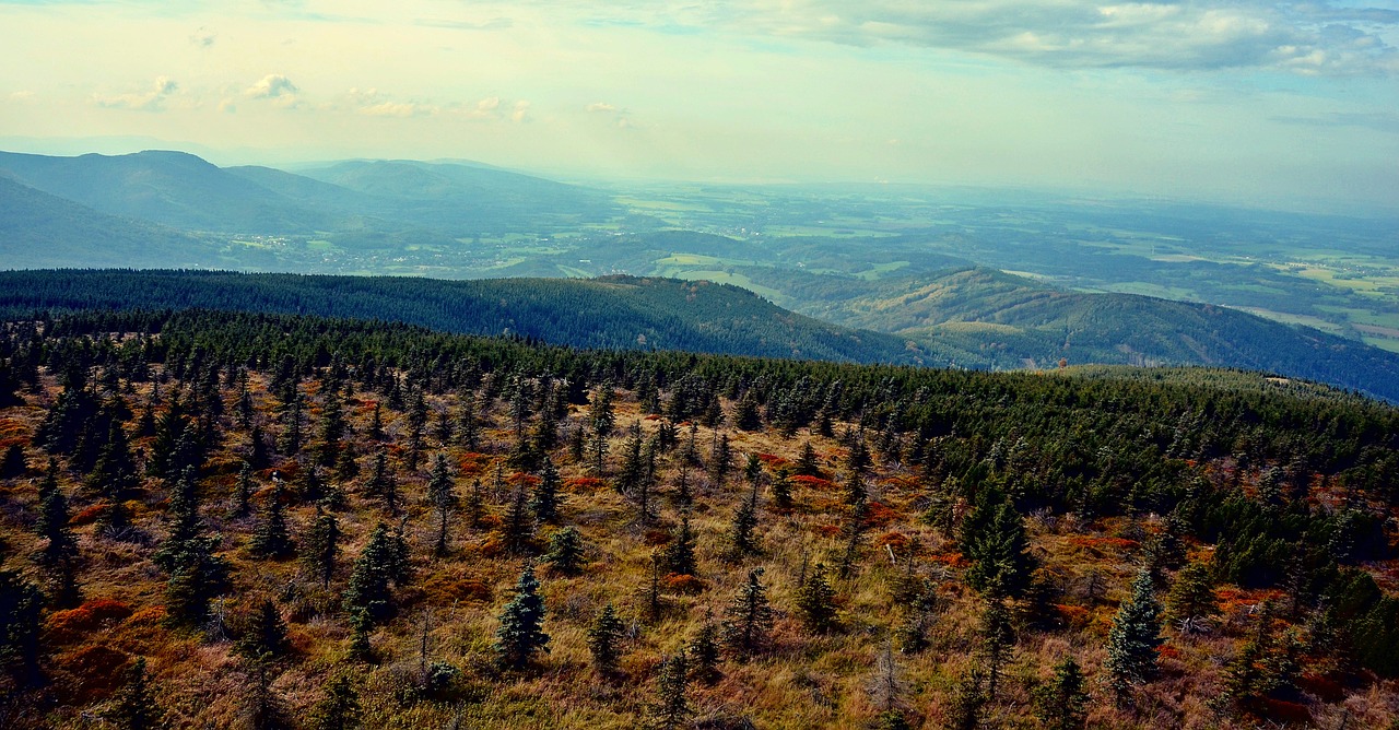 czech republic spruce panorama free photo