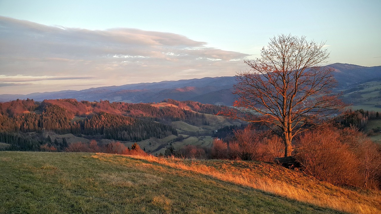 czech republic  walachia  autumn free photo