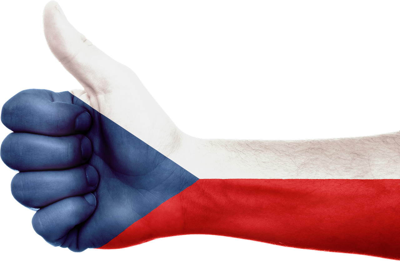 czech republic flag hand free photo