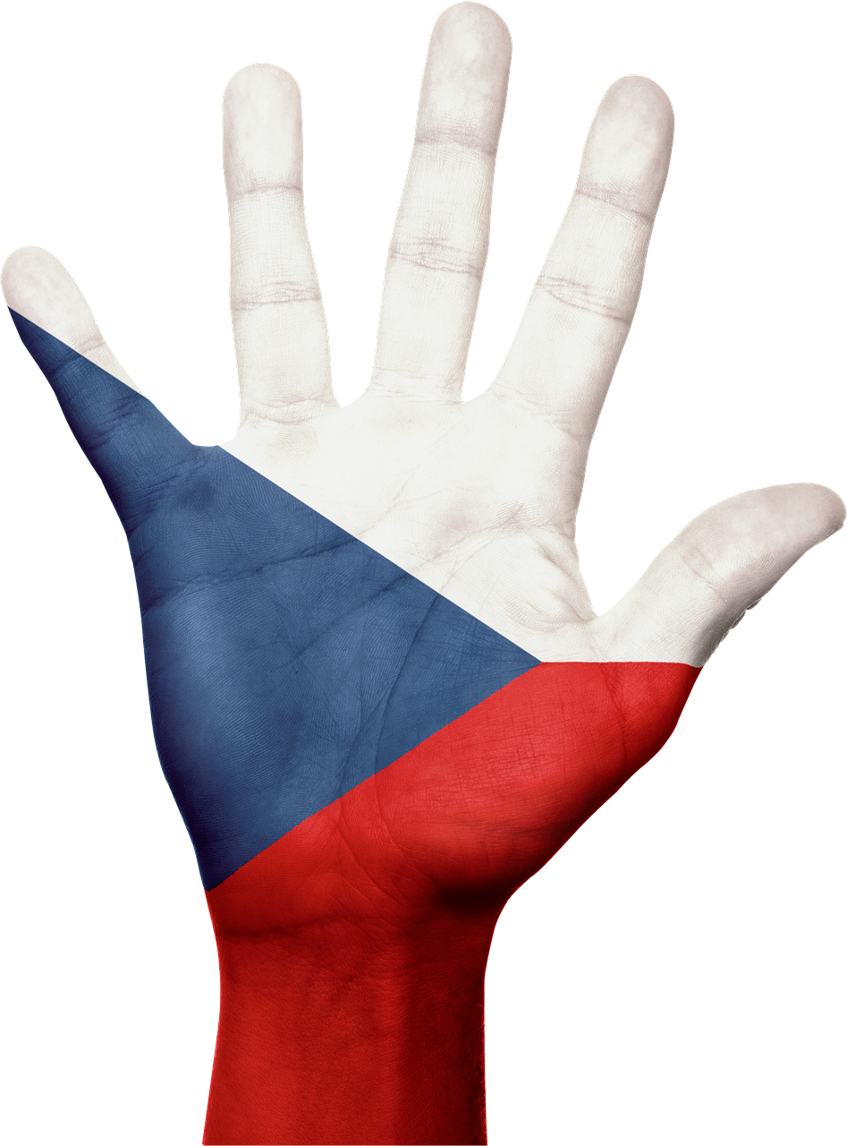 czech republic flag hand free photo