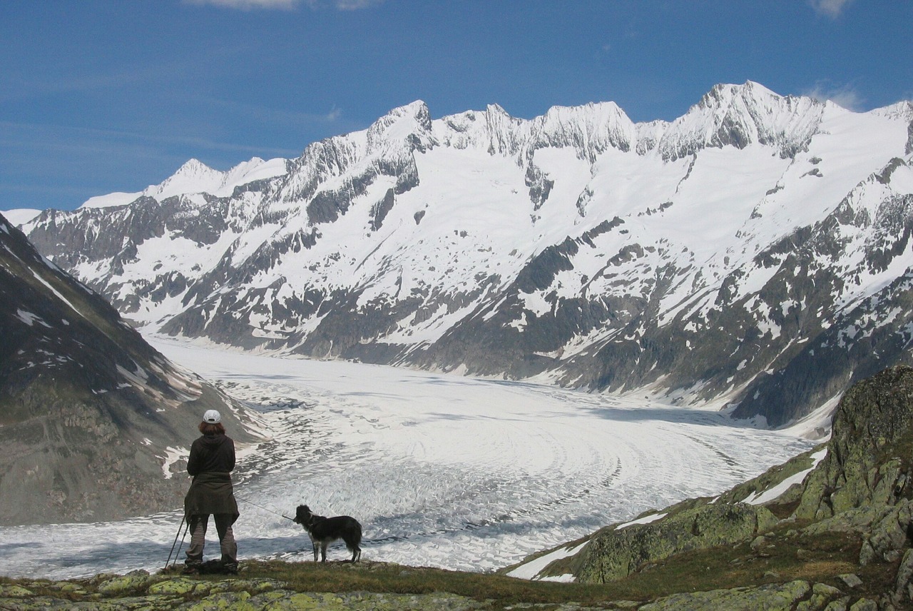 d aletsch glacier mountain switzerland free photo