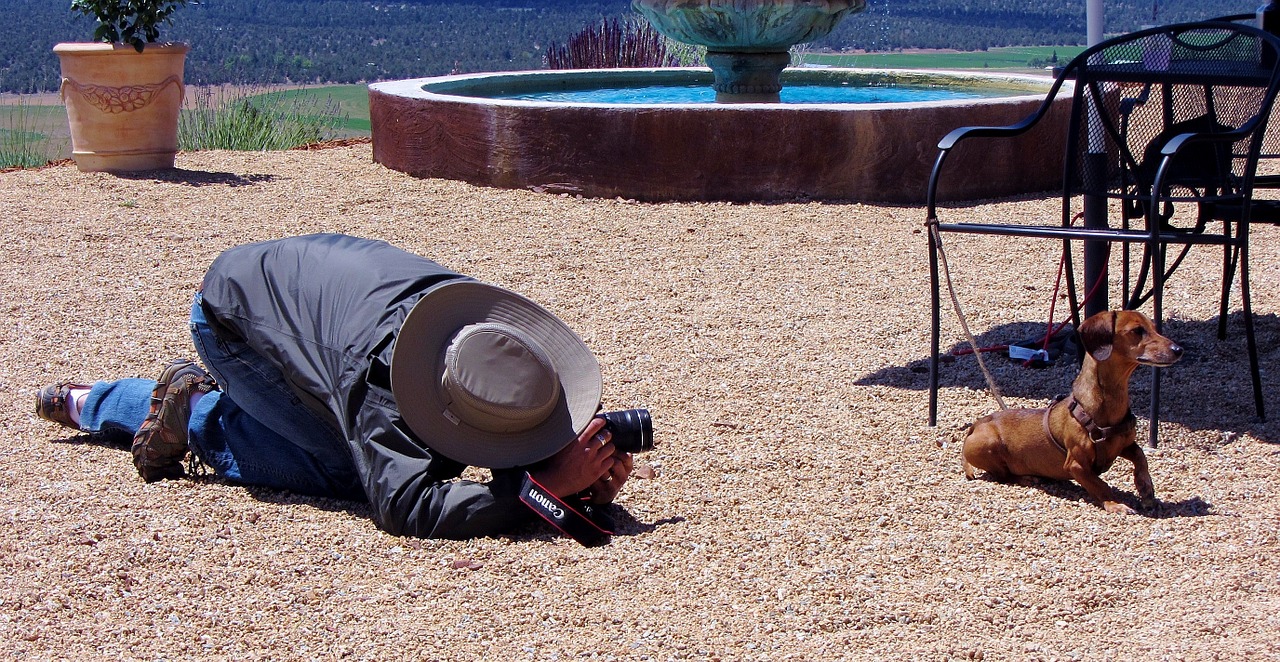 dachshund funny tourist free photo