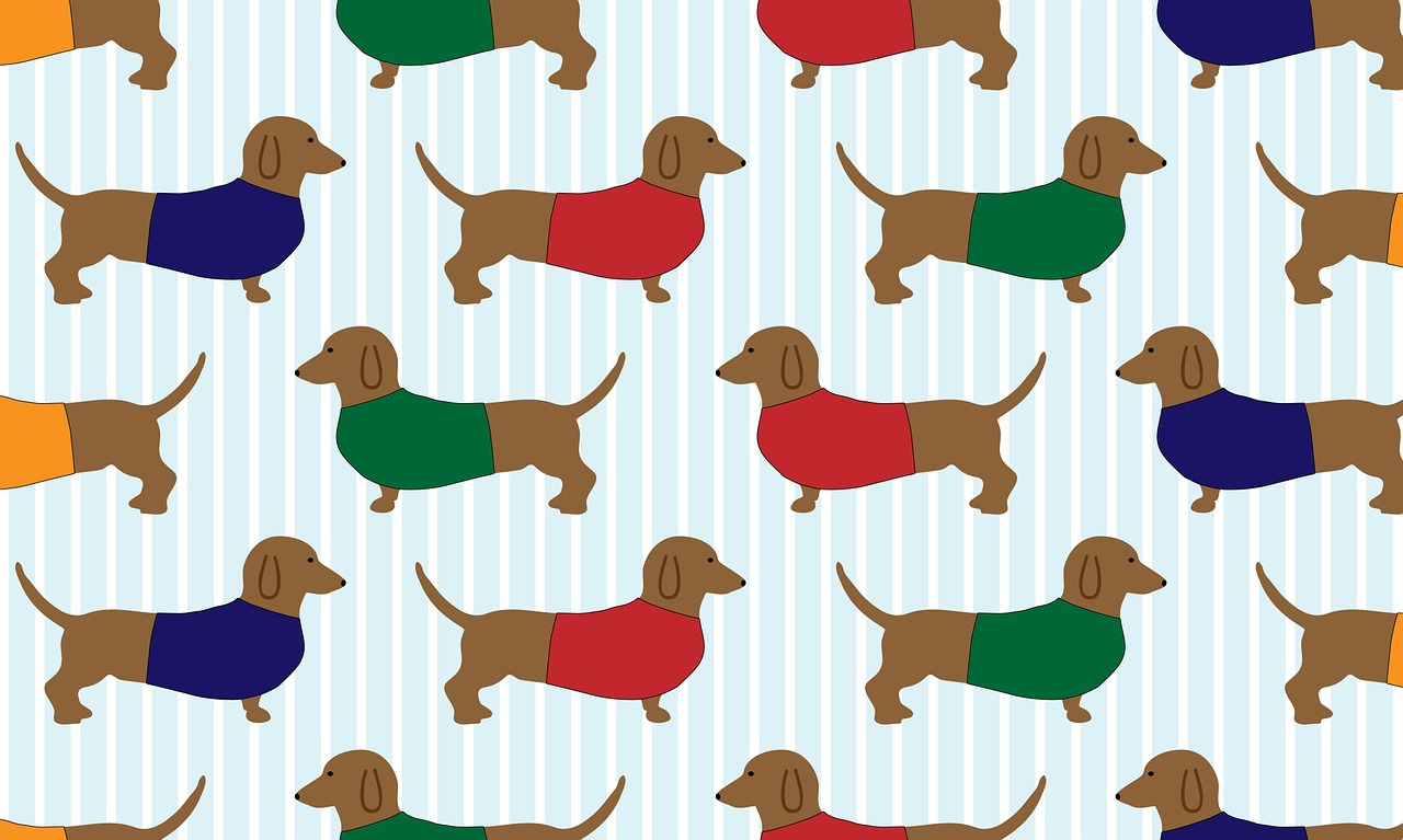 dachshund dog cartoon free photo